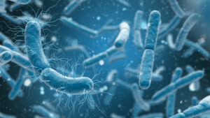 Bactéria Legionella Pneumophila foi a grande responsável pela criação da Lei do Ar Condicionado